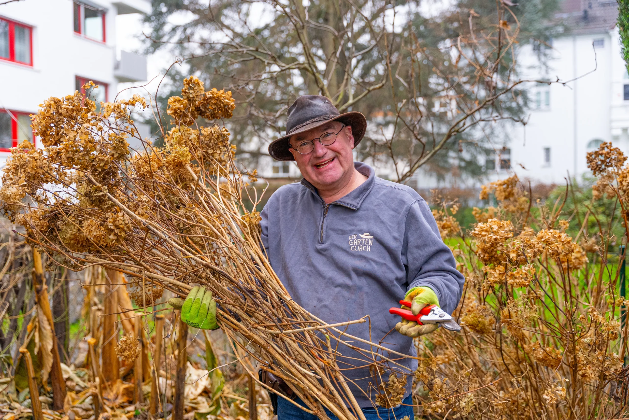 Hortensien schneiden